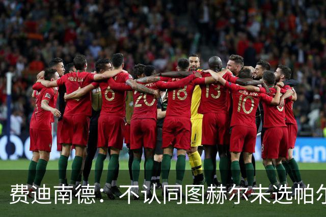 费迪南德：不认同图赫尔未选帕尔默的决定，后者在大赛证明过自己